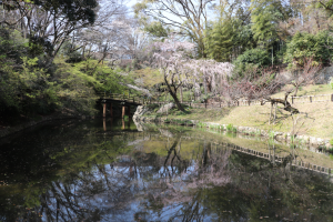 浜松城公園日本庭園